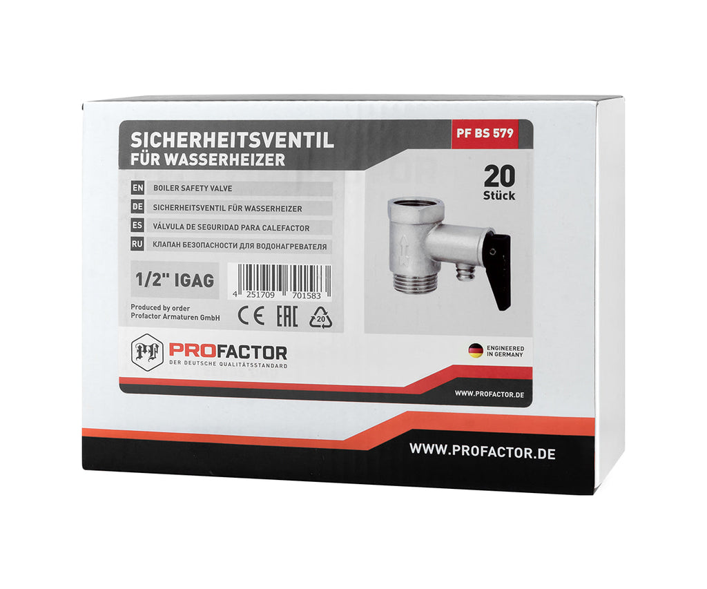 Safety valve for water heater with relief handle — PF_BS_579_6