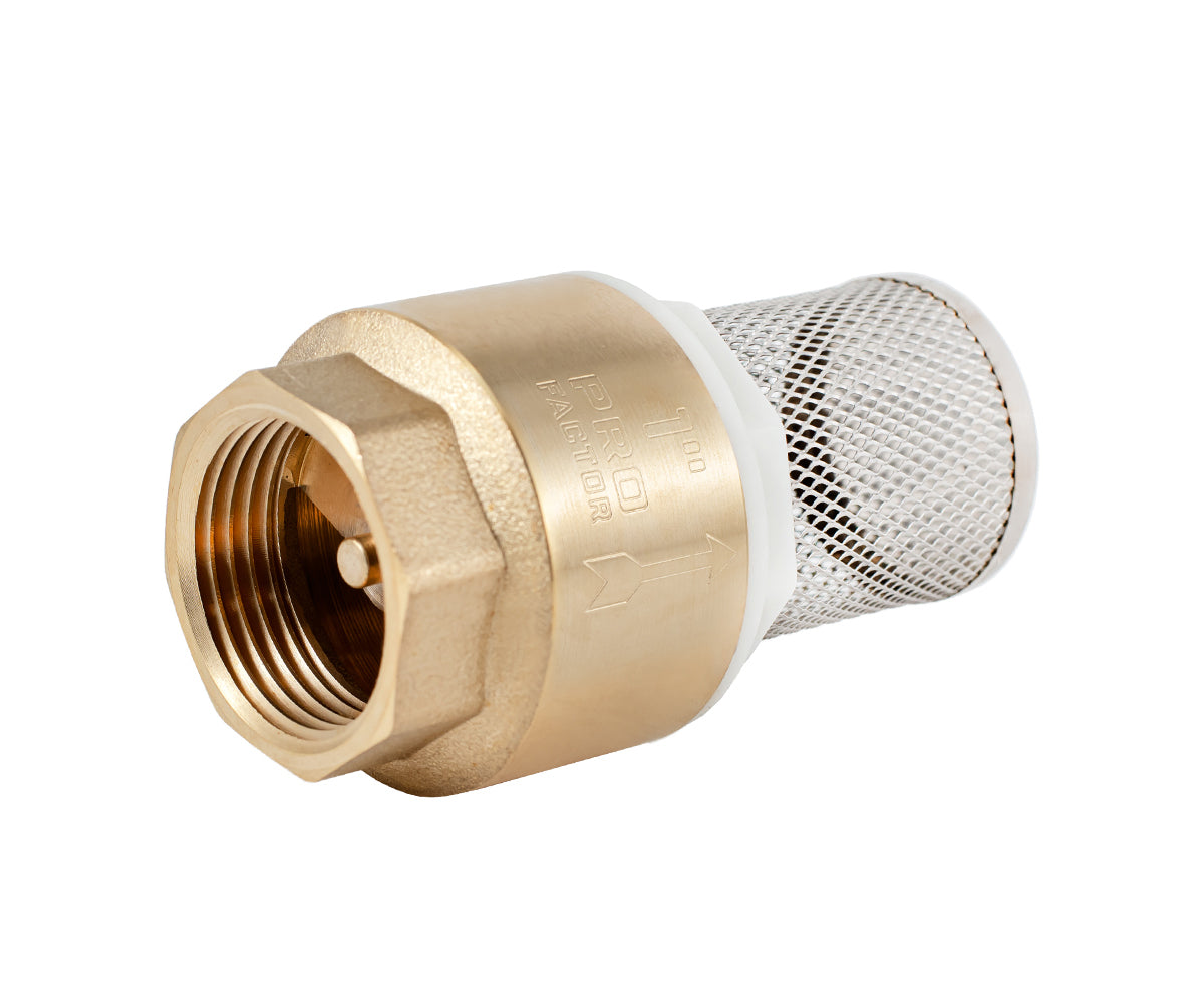 Terminal spring-loaded axial check valve with filter — PF CVS 248, ракурс 1