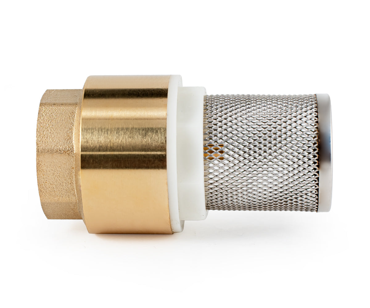 Terminal spring-loaded axial check valve with filter — PF CVS 248, ракурс 2