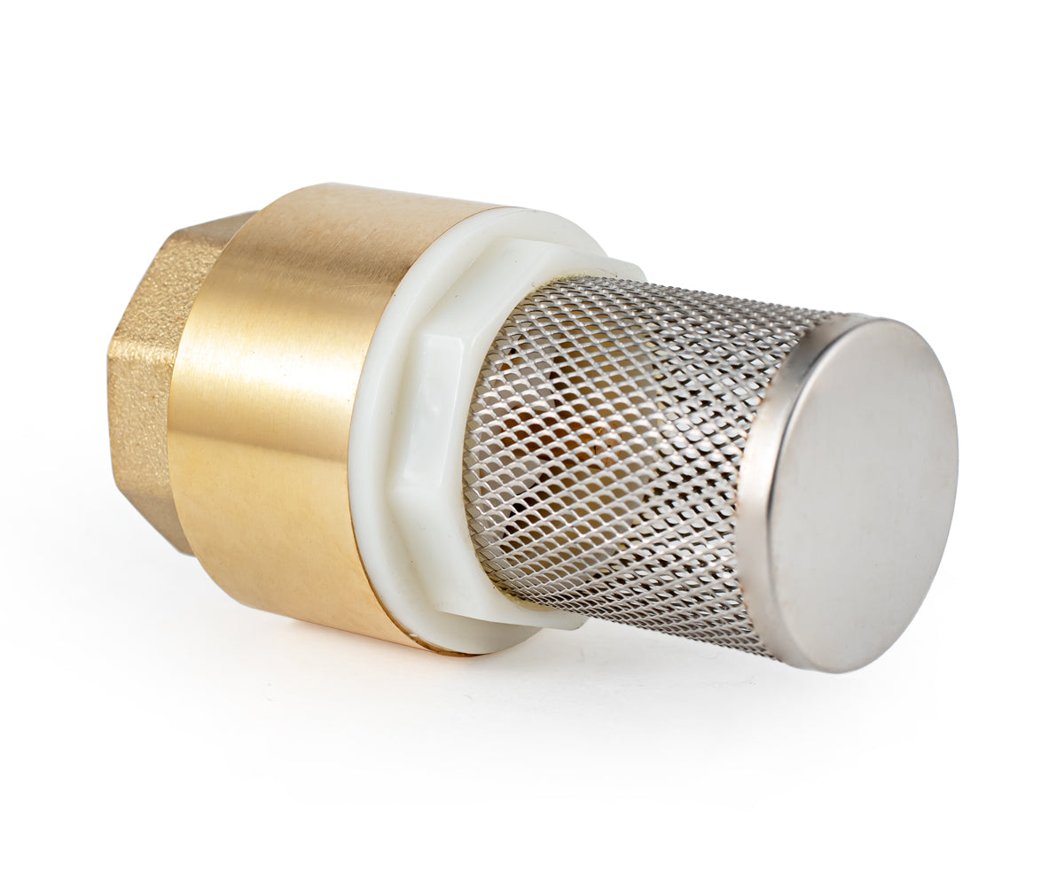 Terminal spring-loaded axial check valve with filter — PF CVS 248, ракурс 3