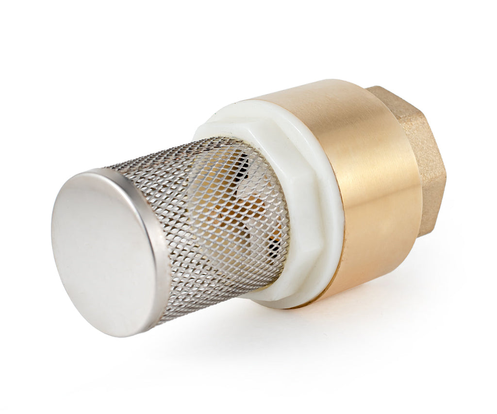 Terminal spring-loaded axial check valve with filter — PF CVS 248, ракурс 5
