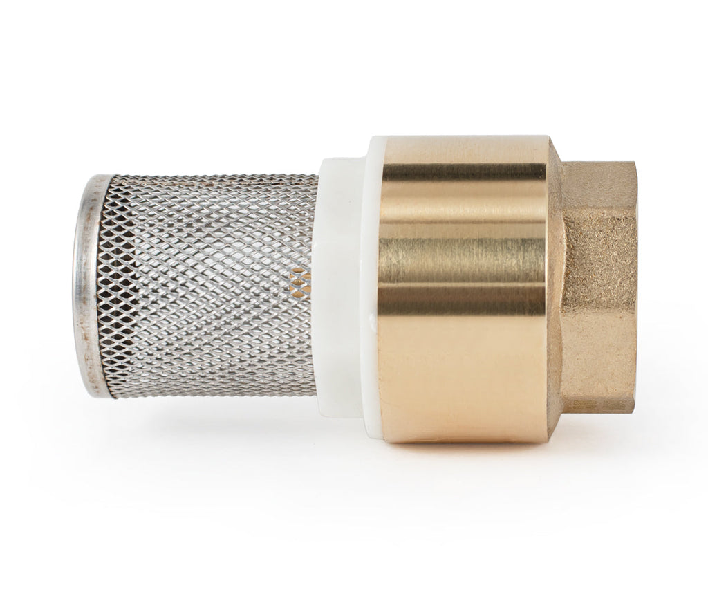 Terminal spring-loaded axial check valve with filter — PF CVS 248, ракурс 6
