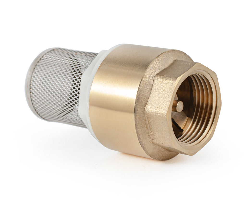 Terminal spring-loaded axial check valve with filter — PF CVS 248, ракурс 7