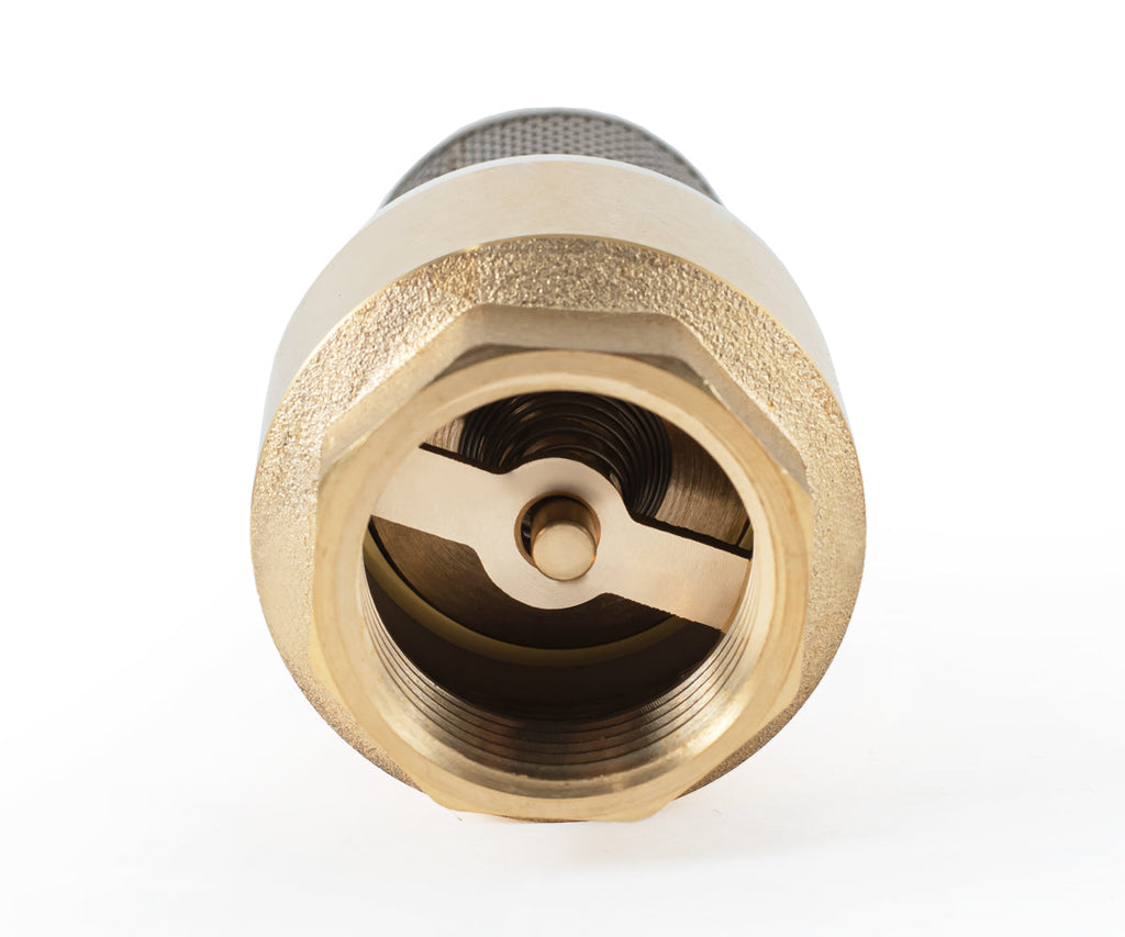 Terminal spring-loaded axial check valve with filter — PF CVS 248, ракурс 8