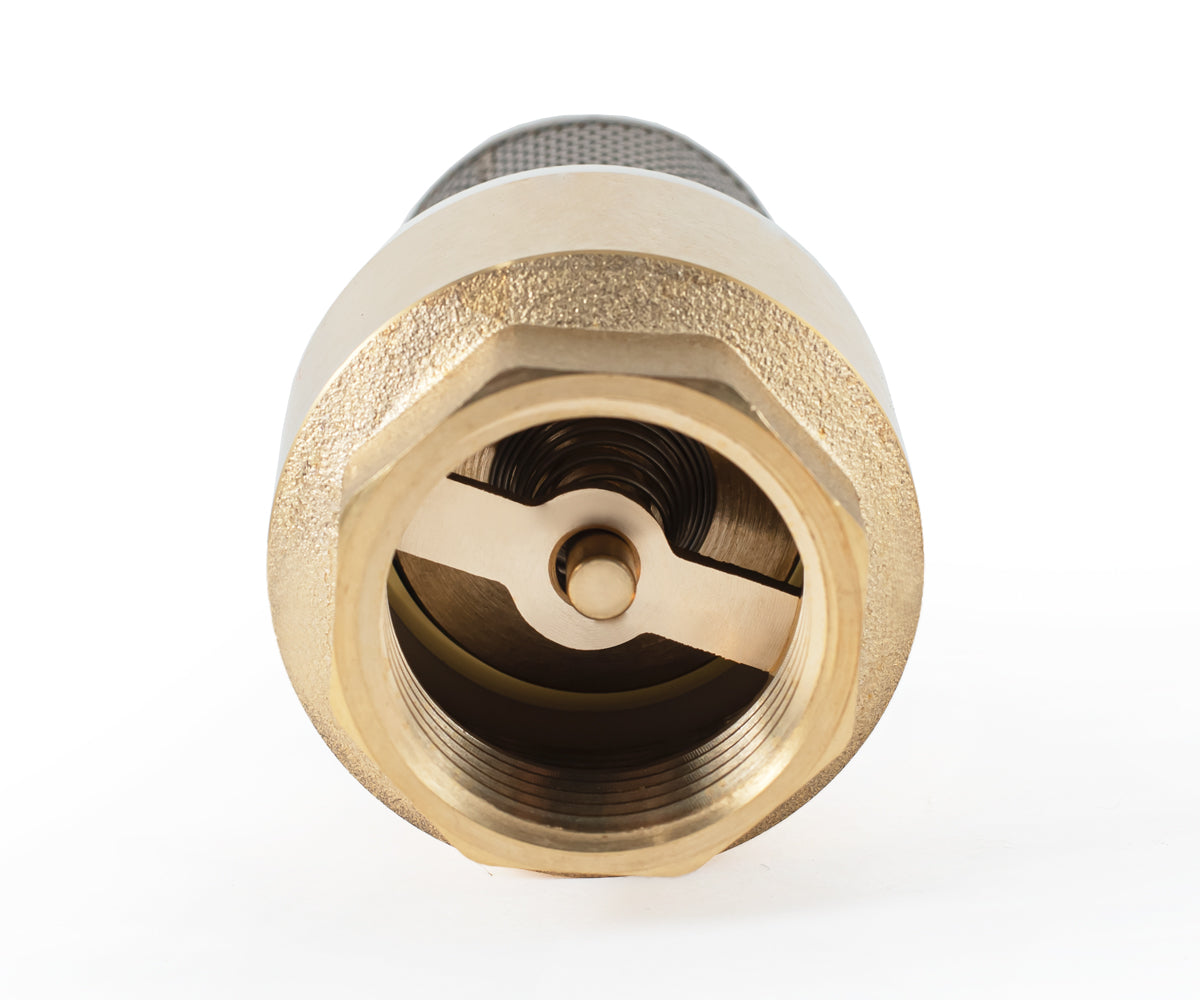 Terminal spring-loaded axial check valve with filter — PF CVS 248, ракурс 8