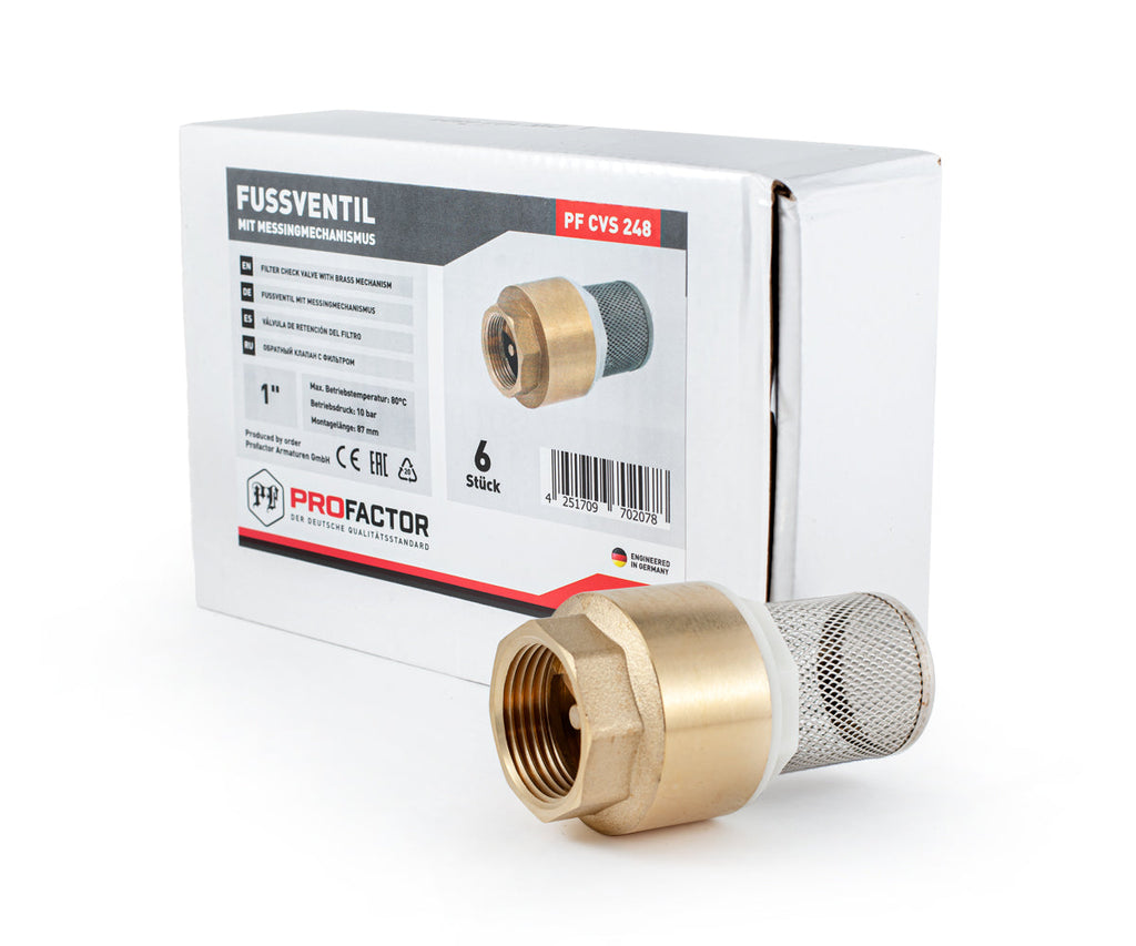 Terminal spring-loaded axial check valve with filter — PF CVS 248, ракурс 9