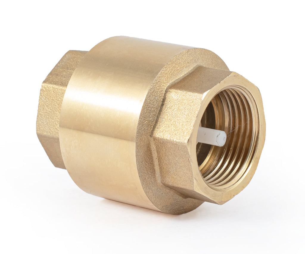 Spring-loaded axial check valve with plastic mechanism — PF CV 240P, ракурс 1