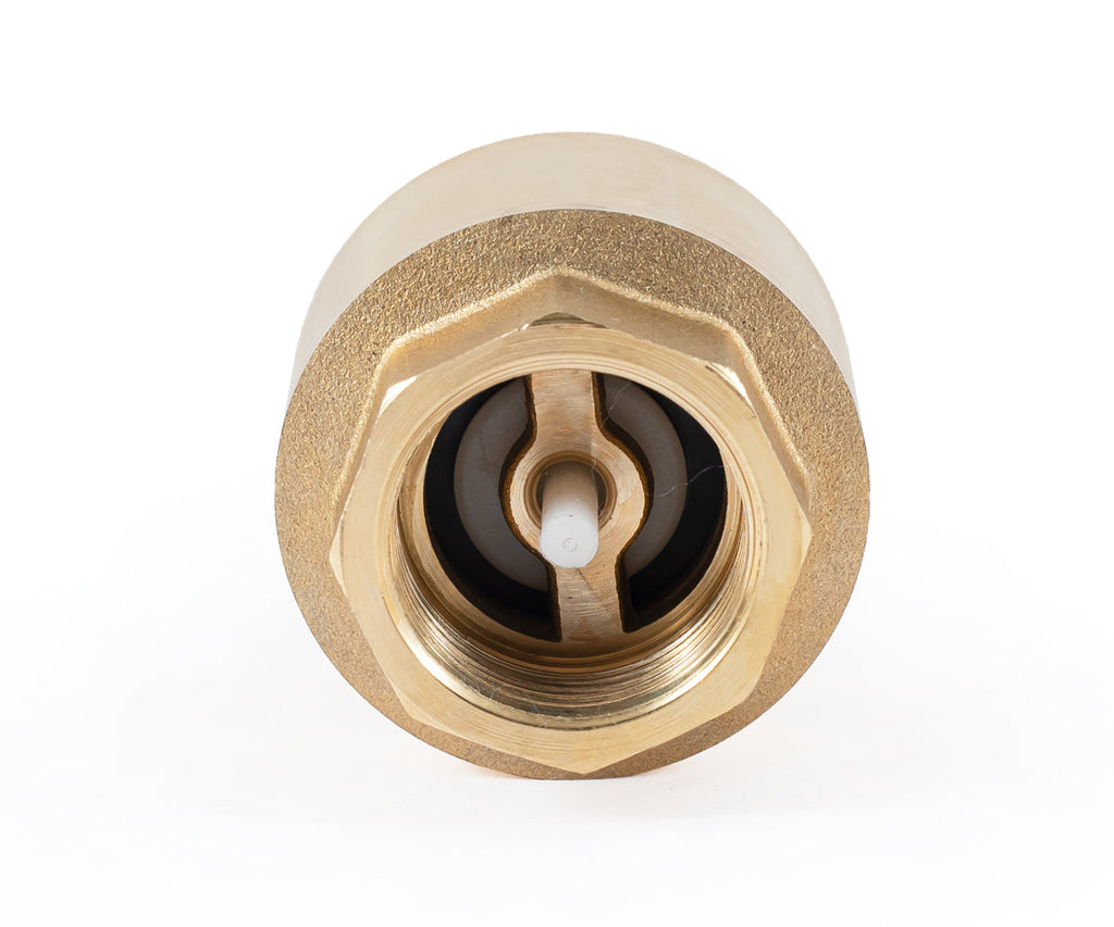 Spring-loaded axial check valve with plastic mechanism — PF CV 240P, ракурс 5
