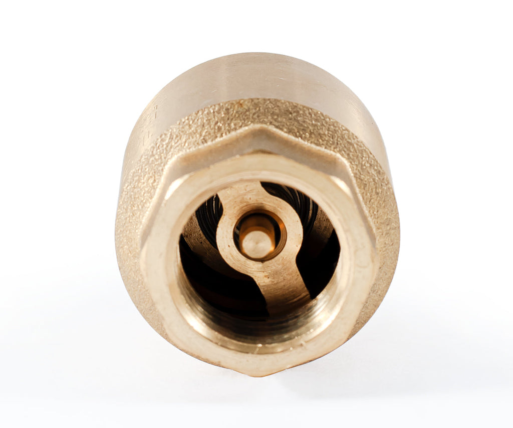 Spring-loaded axial check valve with brass mechanism — PF CV 240, ракурс 4