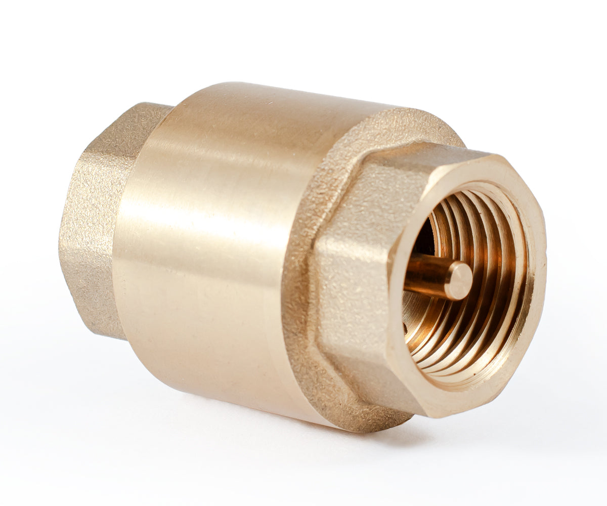 Spring-loaded axial check valve with brass mechanism — PF CV 240, ракурс 7