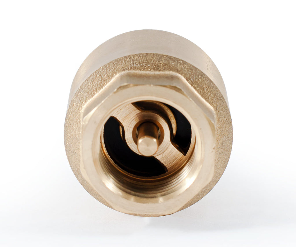 Spring-loaded axial check valve with brass mechanism — PF CV 240, ракурс 8