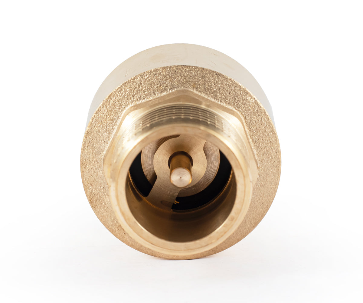Spring-loaded axial check valve, F/M, for pumps — PF CV 242FM, ракурс 4