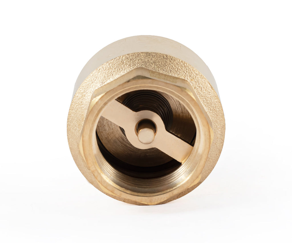 Spring-loaded axial check valve, F/M, for pumps — PF CV 242FM, ракурс 5
