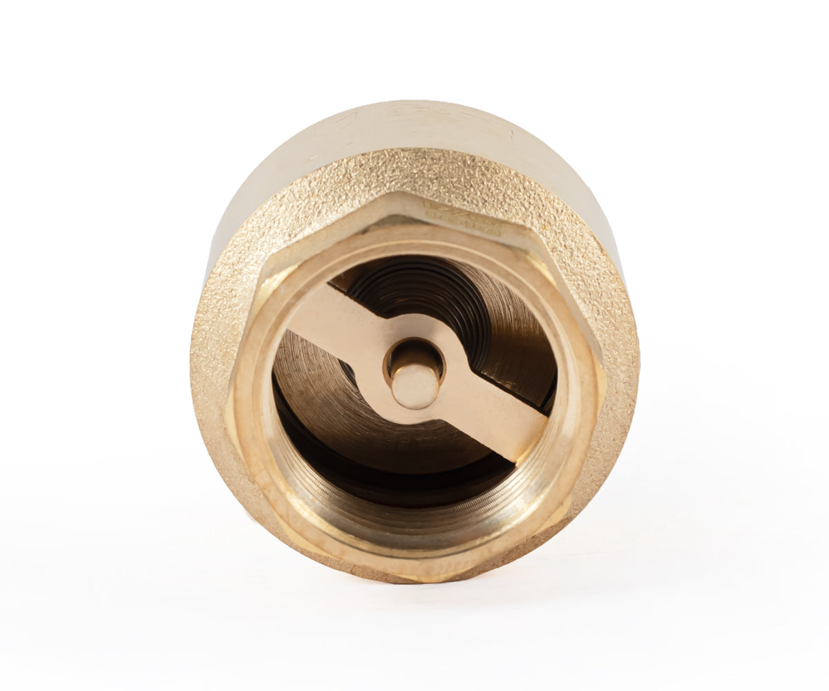Spring-loaded axial check valve, F/M, for pumps — PF CV 242FM, ракурс 5