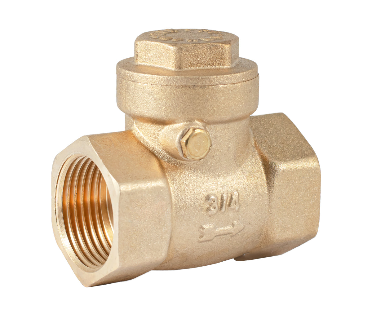 Horizontal disc check valve — PF CV 249.20, ракурс 1