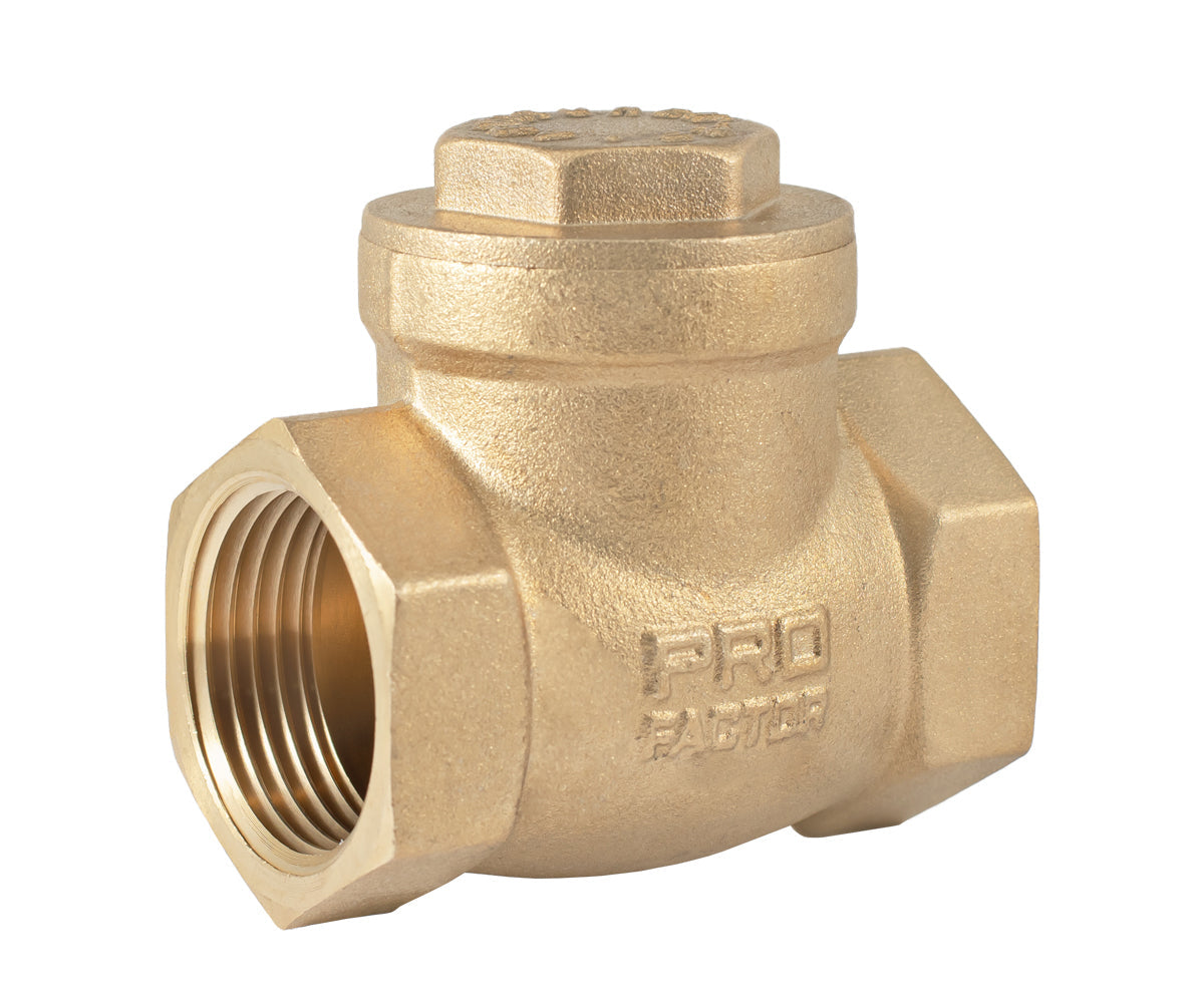 Horizontal disc check valve — PF CV 249.25, ракурс 1