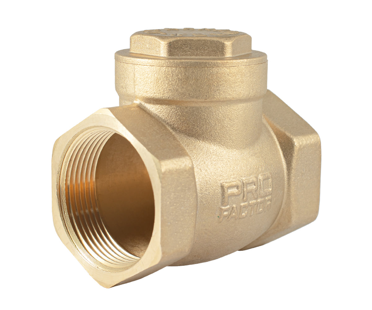 Horizontal disc check valve — PF CV 249.32, ракурс 1