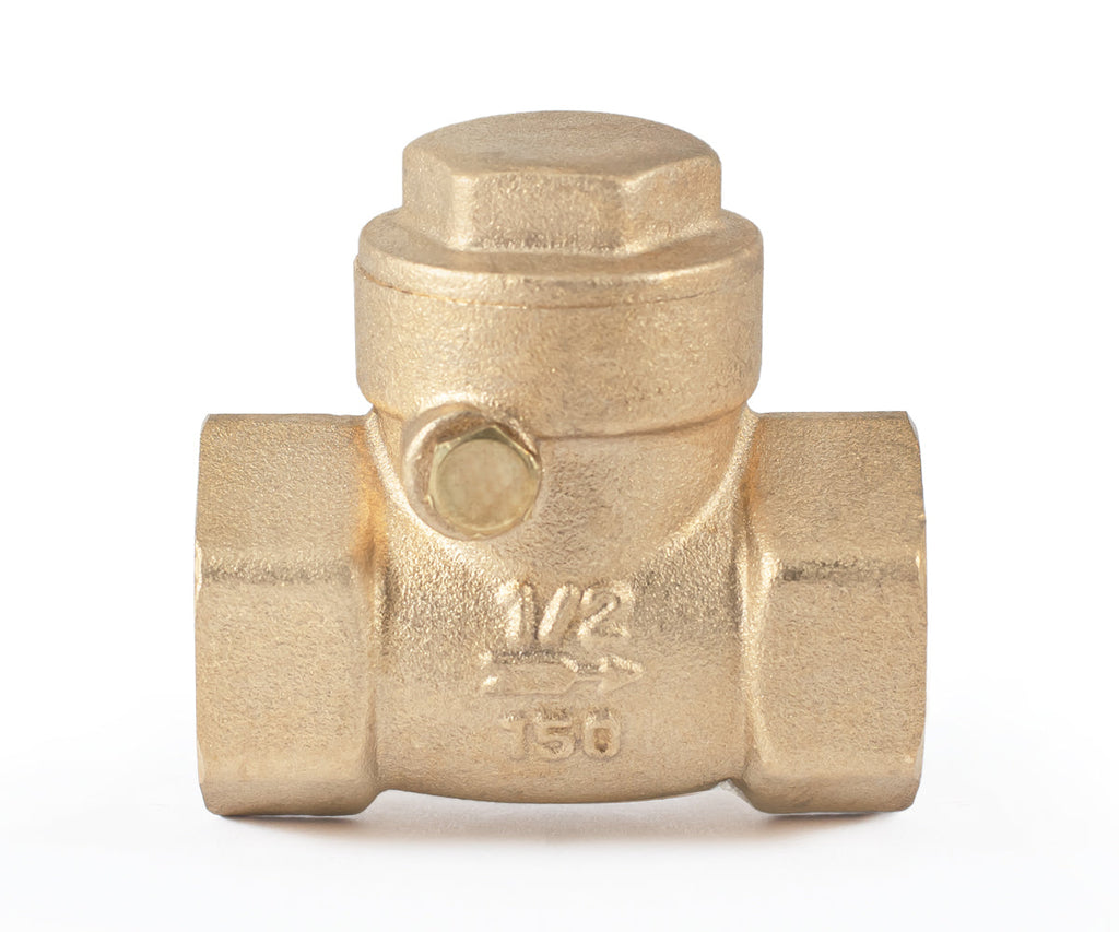 Horizontal disc check valve — PF CV 249, ракурс 2