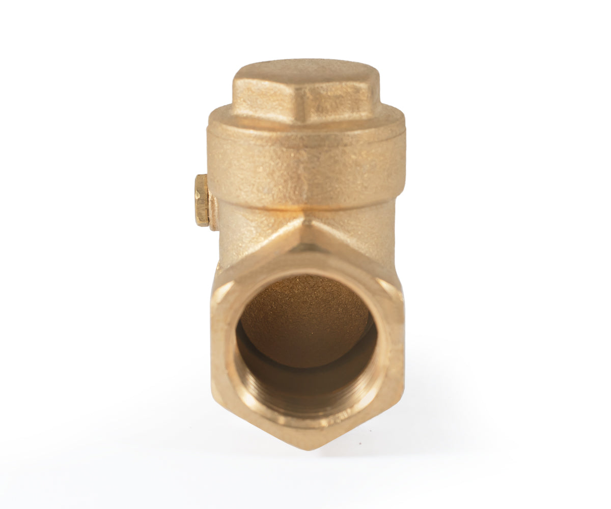 Horizontal disc check valve — PF CV 249, ракурс 4