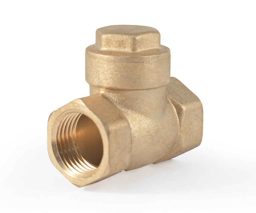 Horizontal disc check valve — PF CV 249, ракурс 5