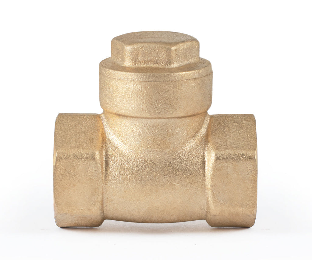 Horizontal disc check valve — PF CV 249, ракурс 6