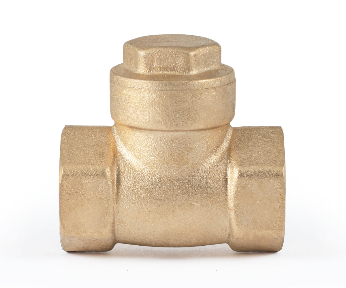 Horizontal disc check valve — PF CV 249, ракурс 6