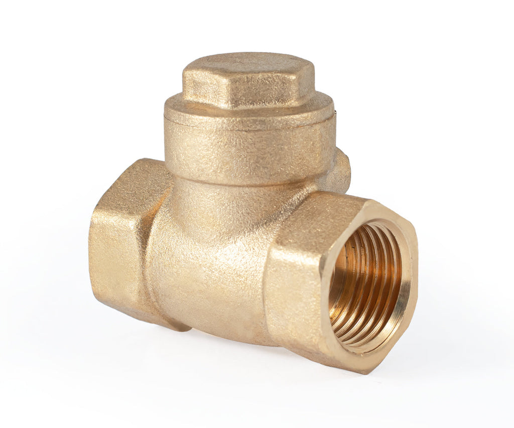Horizontal disc check valve — PF CV 249, ракурс 7