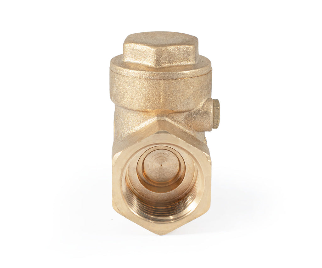 Horizontal disc check valve — PF CV 249, ракурс 8