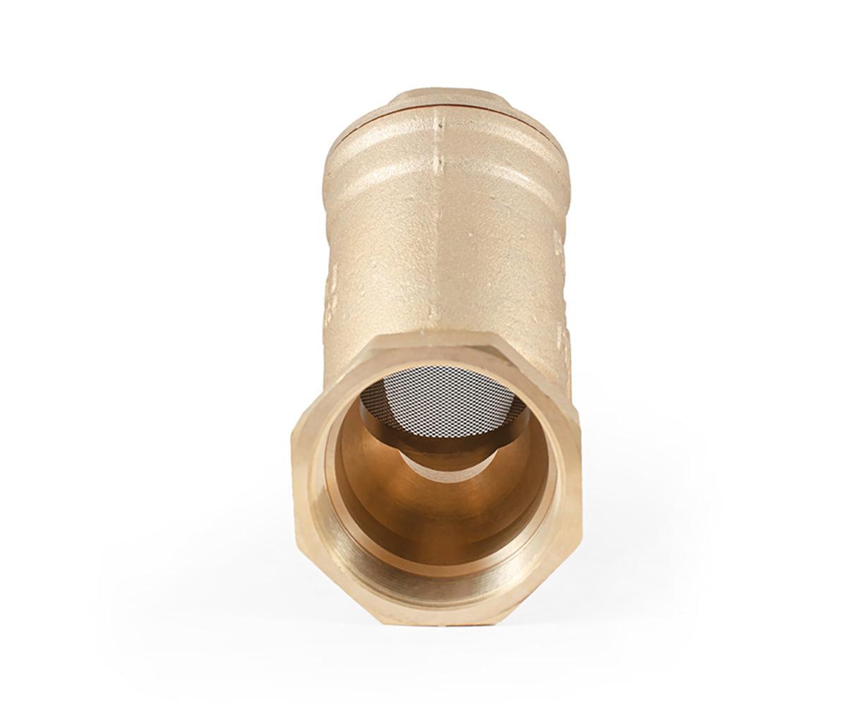 Y-pattern strainer, F/F — PF YS 225, view 8