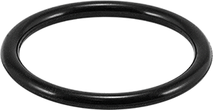 Union O-ring